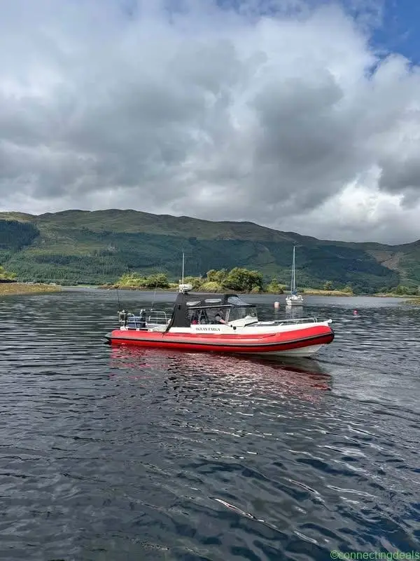 Red Bay Explorer 8.4m Rib - Image 1