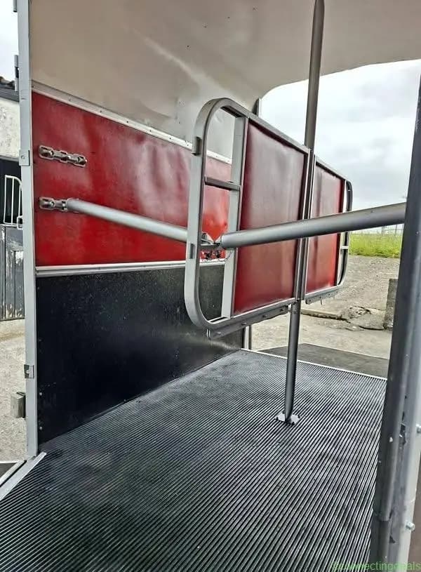 Ifor Williams horse box 505 - Image 1