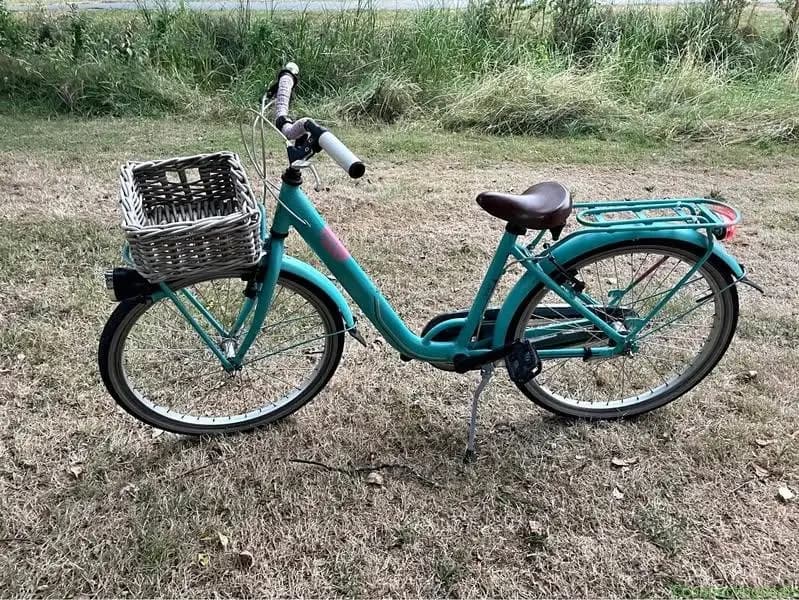 Kids bike Batavus Star -24 inch