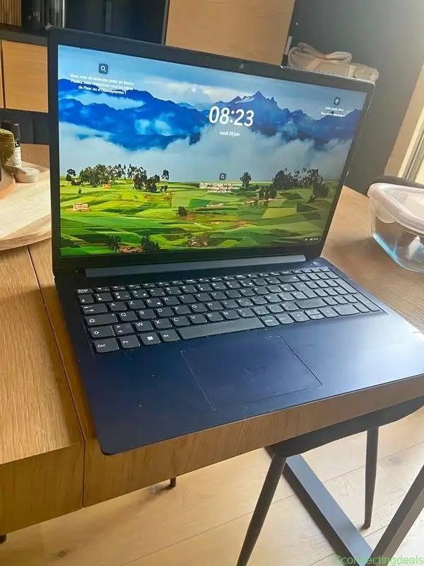 Ordinateur Lenovo Ideapad 1