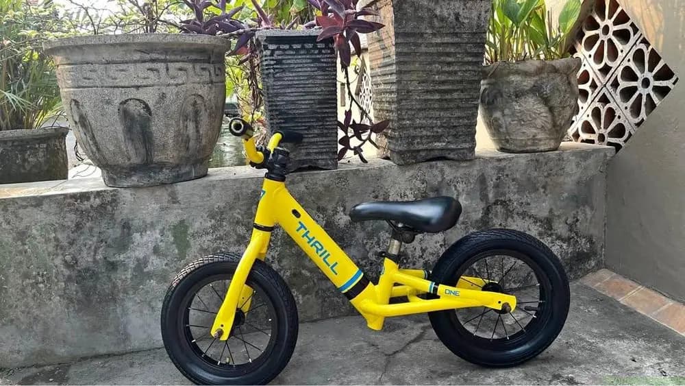 Push bike THRILL - Image 1