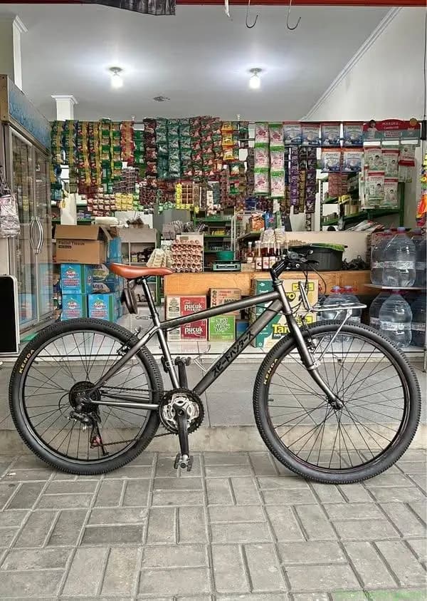 Commuter Bike Grey Ala Ala - Image 1