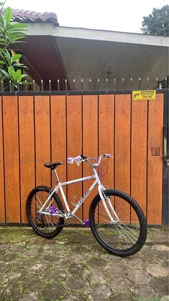 SEPEDA FEDERAL COMUTER BIKE