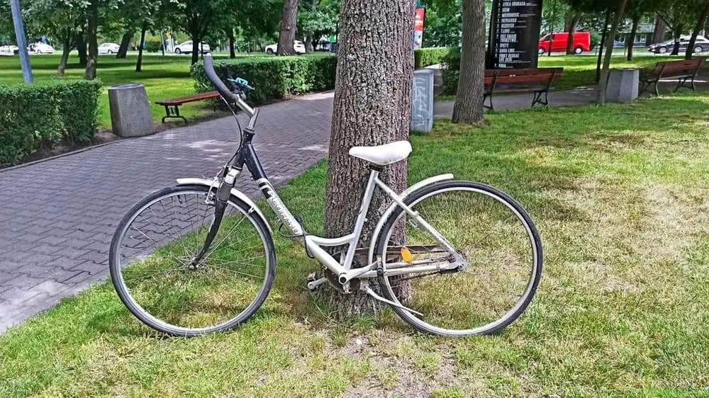 bicycle/rower