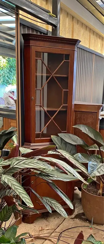 Mahogany Corner Cabinet