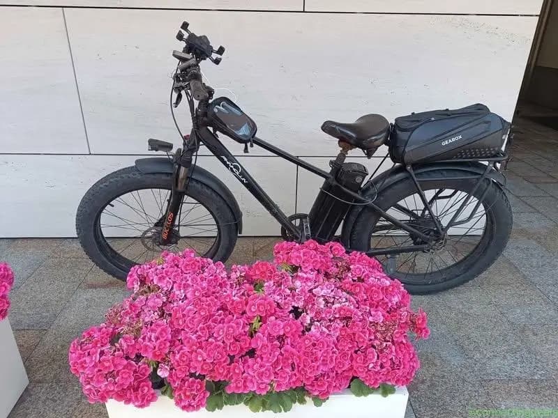 Elektrik bike - Image 1