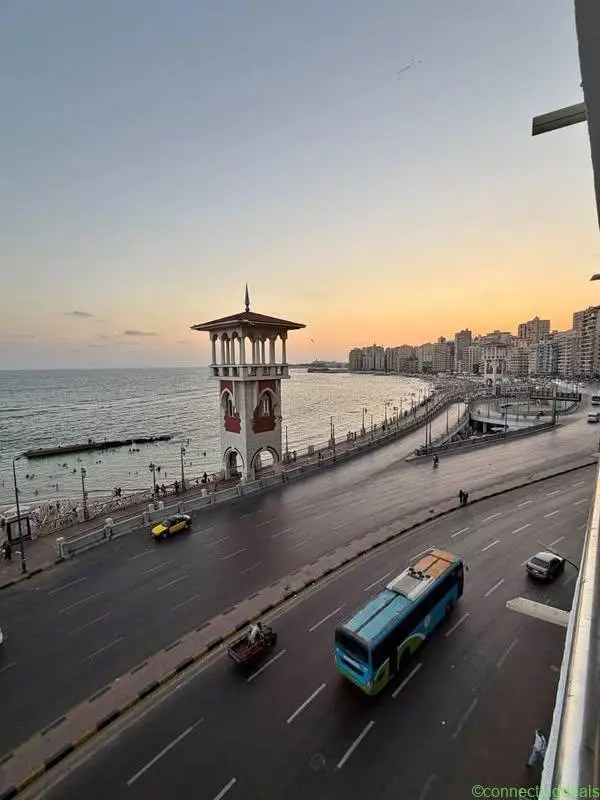 شقق للايجار فندقيه ميامي اسكندريه