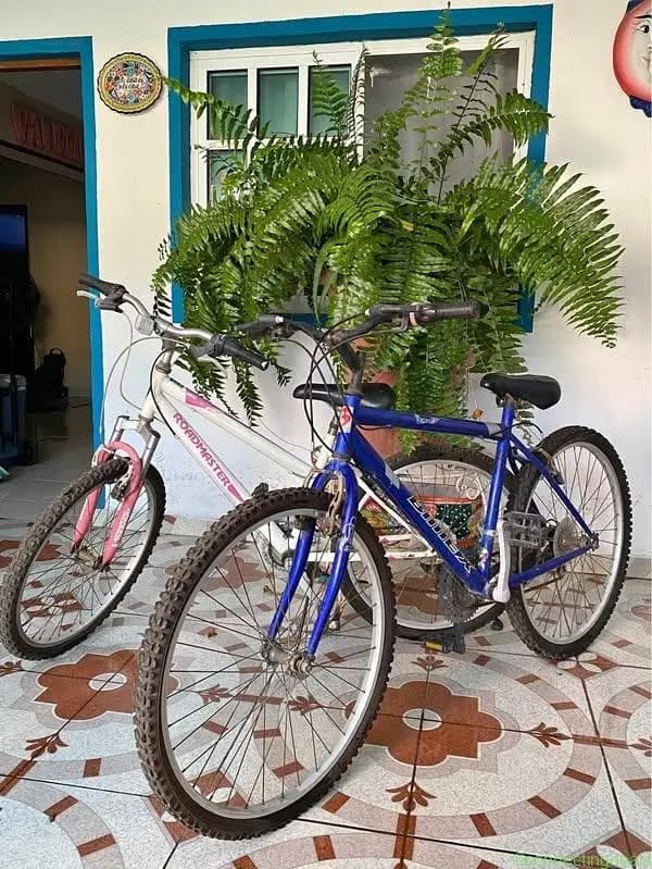 Bicicletas en excelente estado