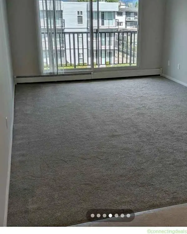 1 Bed 1 Bath - Apartment