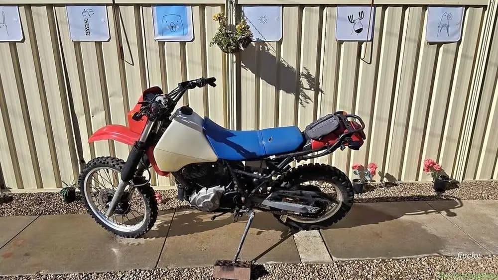 1984 Suzuki DR