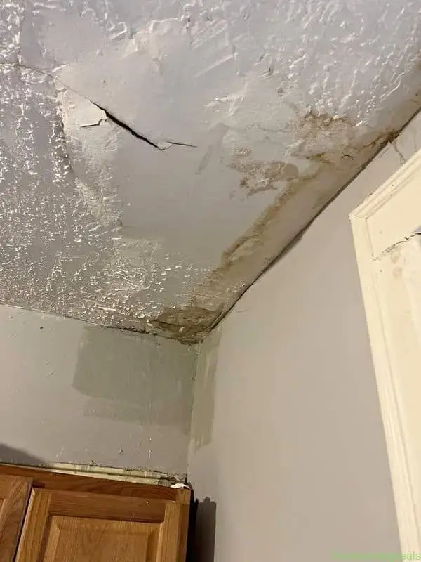 HANDYMAN SERVICES