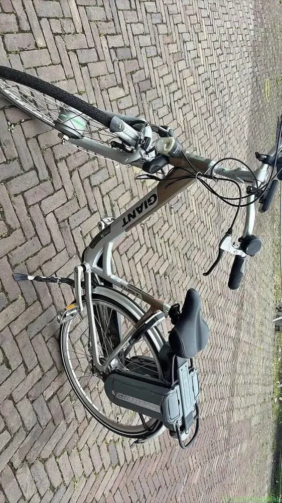 Giant Twist Go Double E-bike (Handyman project / - Image 1