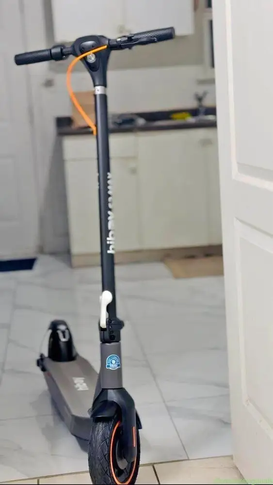 2025 Ariane hiboy
