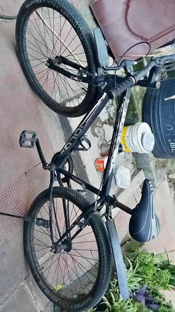 Cycle - Image 1