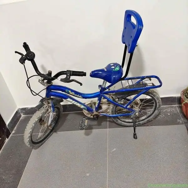 Avon bicycle - Image 1