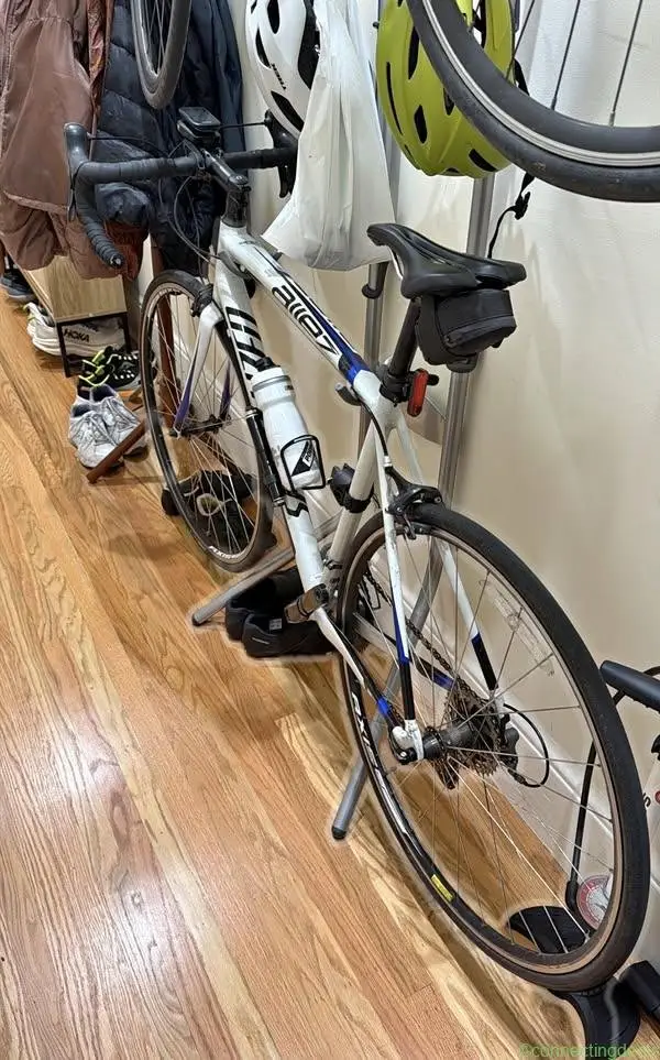Specialized Allez Road Bike (56cm frame Bicycle) - Image 1