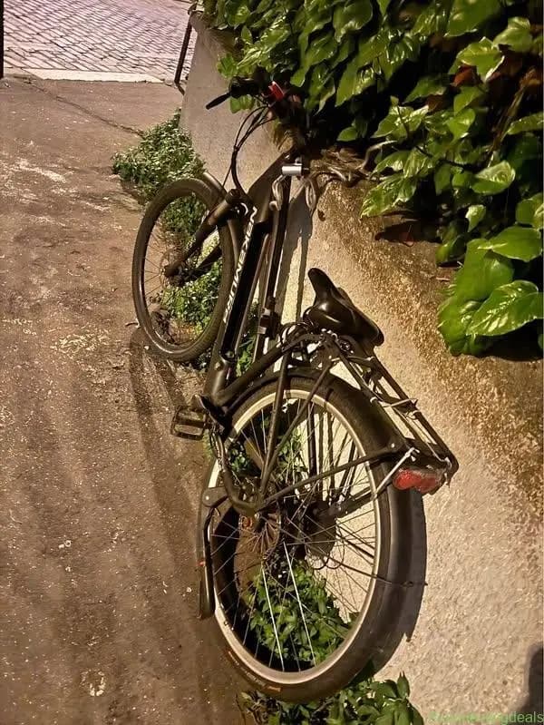 Electric bike - Image 1