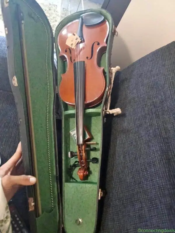 Geige Violine