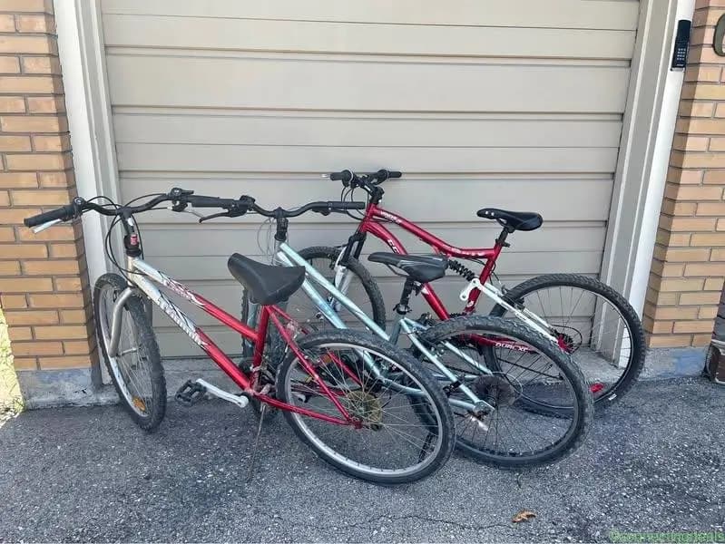 Adult bikes, bicycles - Image 1