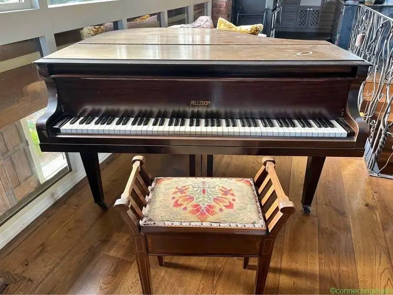 Baby Grand Piano - Image 1