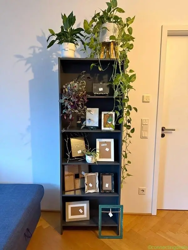 Bookshelf