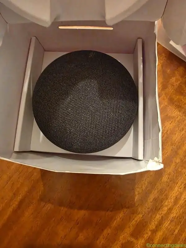 Google Home/Nest Minj