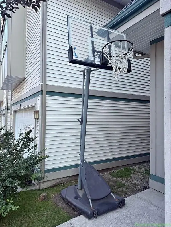 Free basketball loop