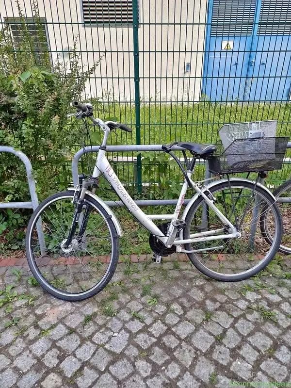 Trekking Bike