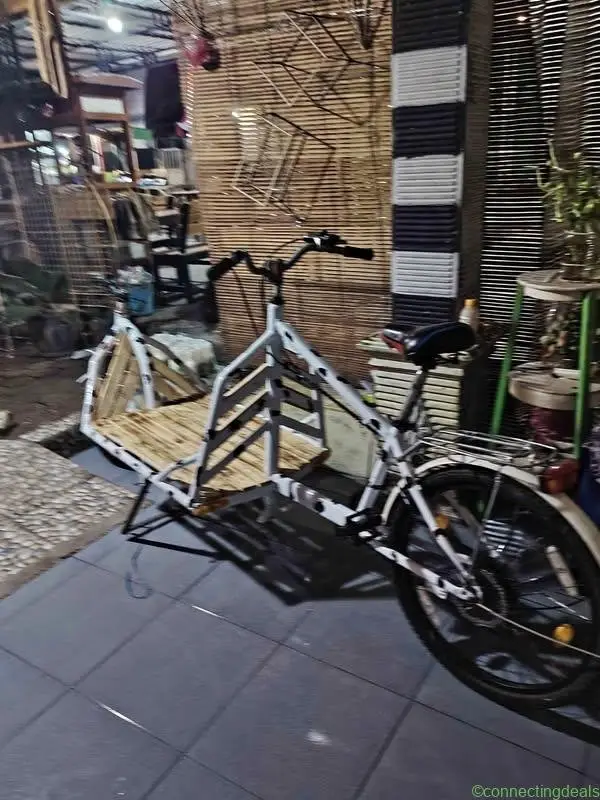 Sepeda Cargo bike - Image 1