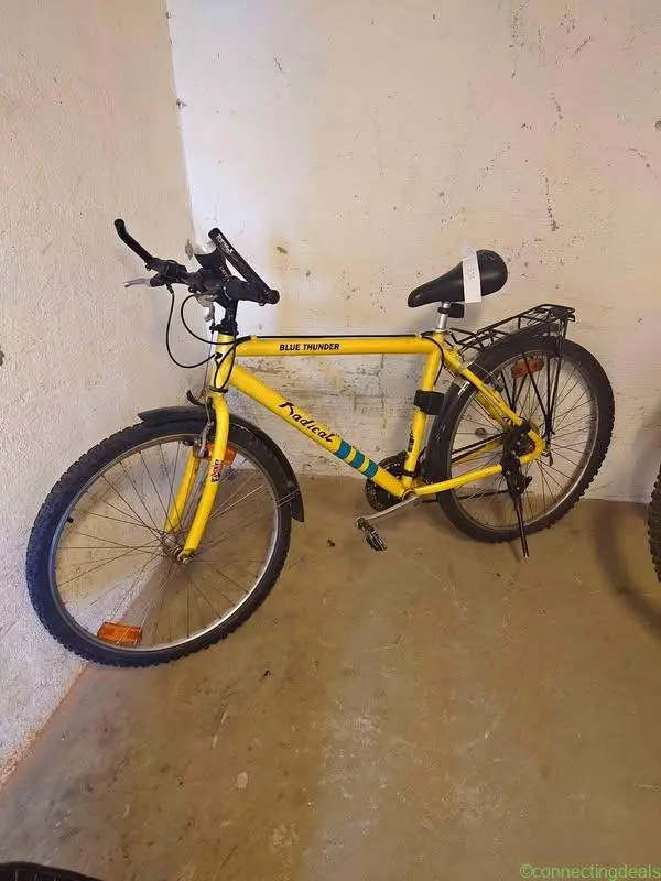 Mountain bike