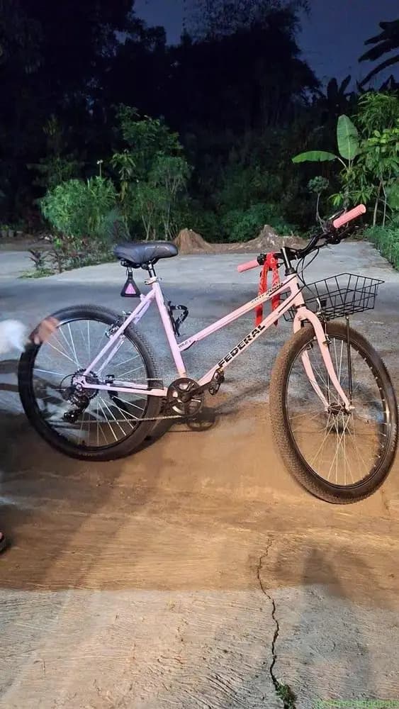 Sepeda Commuter Bike Lady