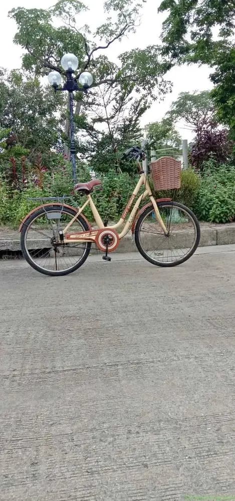 City Cosmo Bike