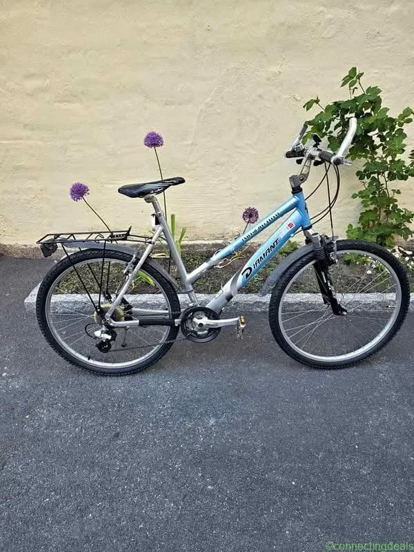 Bicycle - Image 1