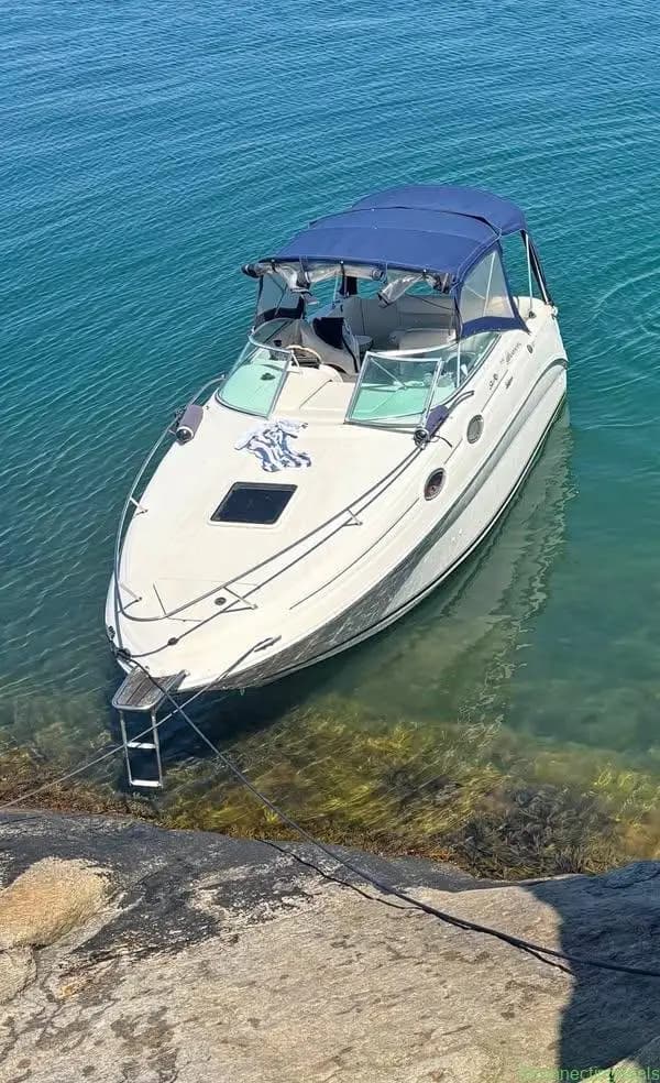 Sea Ray 240 DC - Image 1