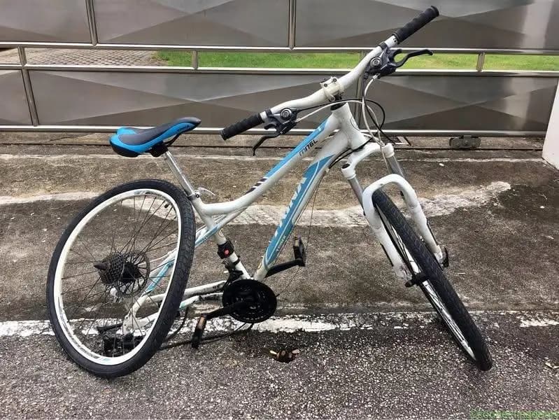 Bicycle Trynx M176L Alu 21speeds, 27"