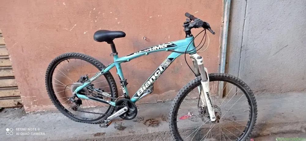 Bianchi Italian bike