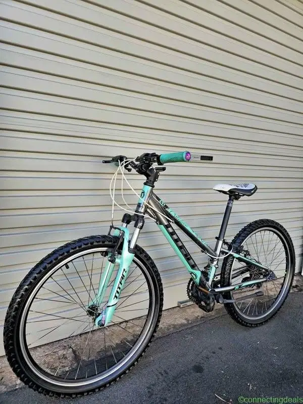 Titan Calypso 24 inch Mountain Bike