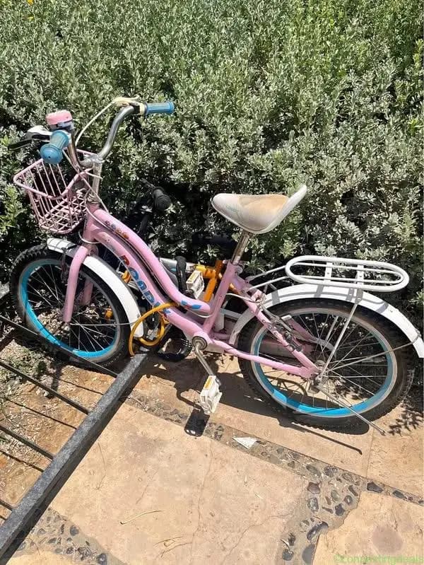 Bikes and roller sports equipment