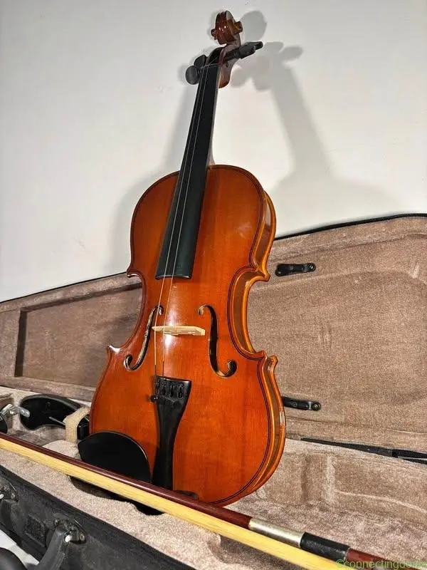 Violino - Image 1