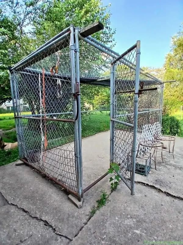 Dog kennel - Image 1