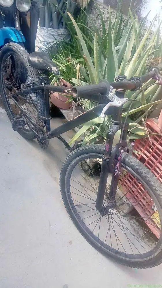 bicicletas