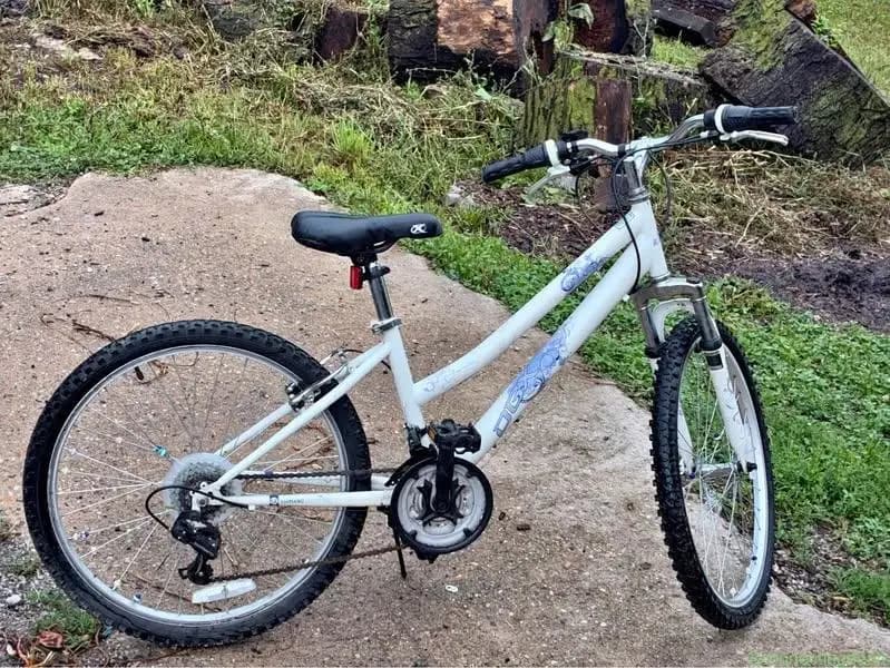 Bikes for sale