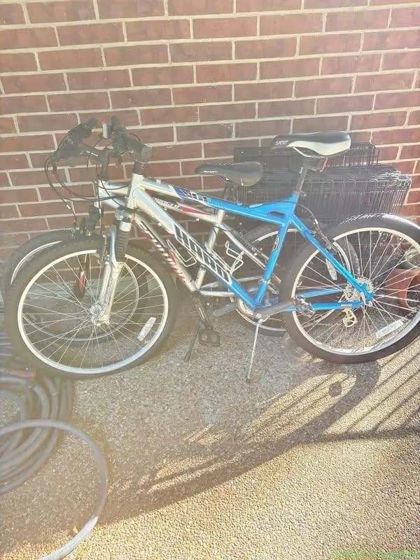 2 bikes $50 - Image 1
