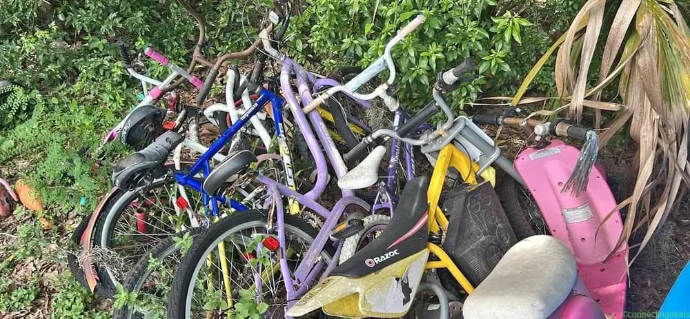 Bikes