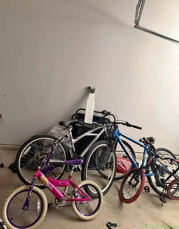 Bicycle & bike trailer