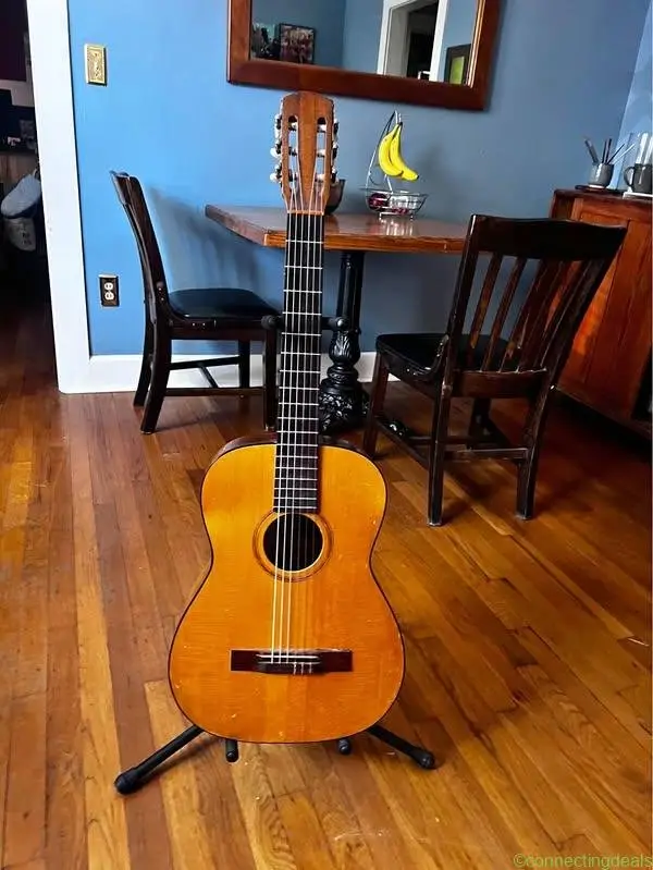 Goya G-10 classical guitar