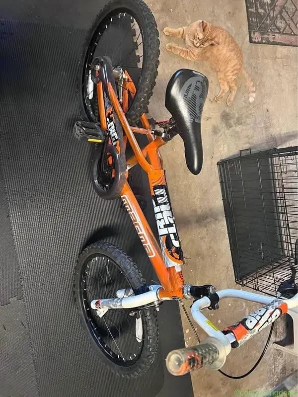 Child's bike 20"