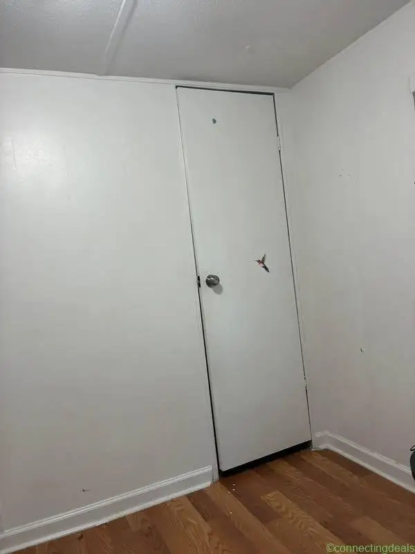 Cuarto - Image 1