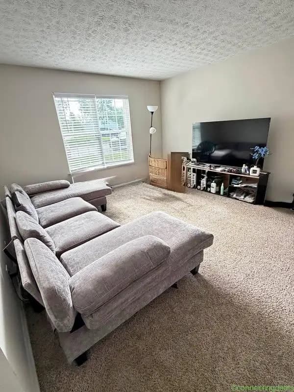 2 Beds 1 Bath - Apartment