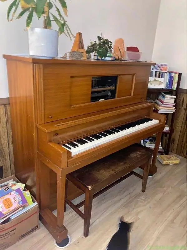 Free Player Piano